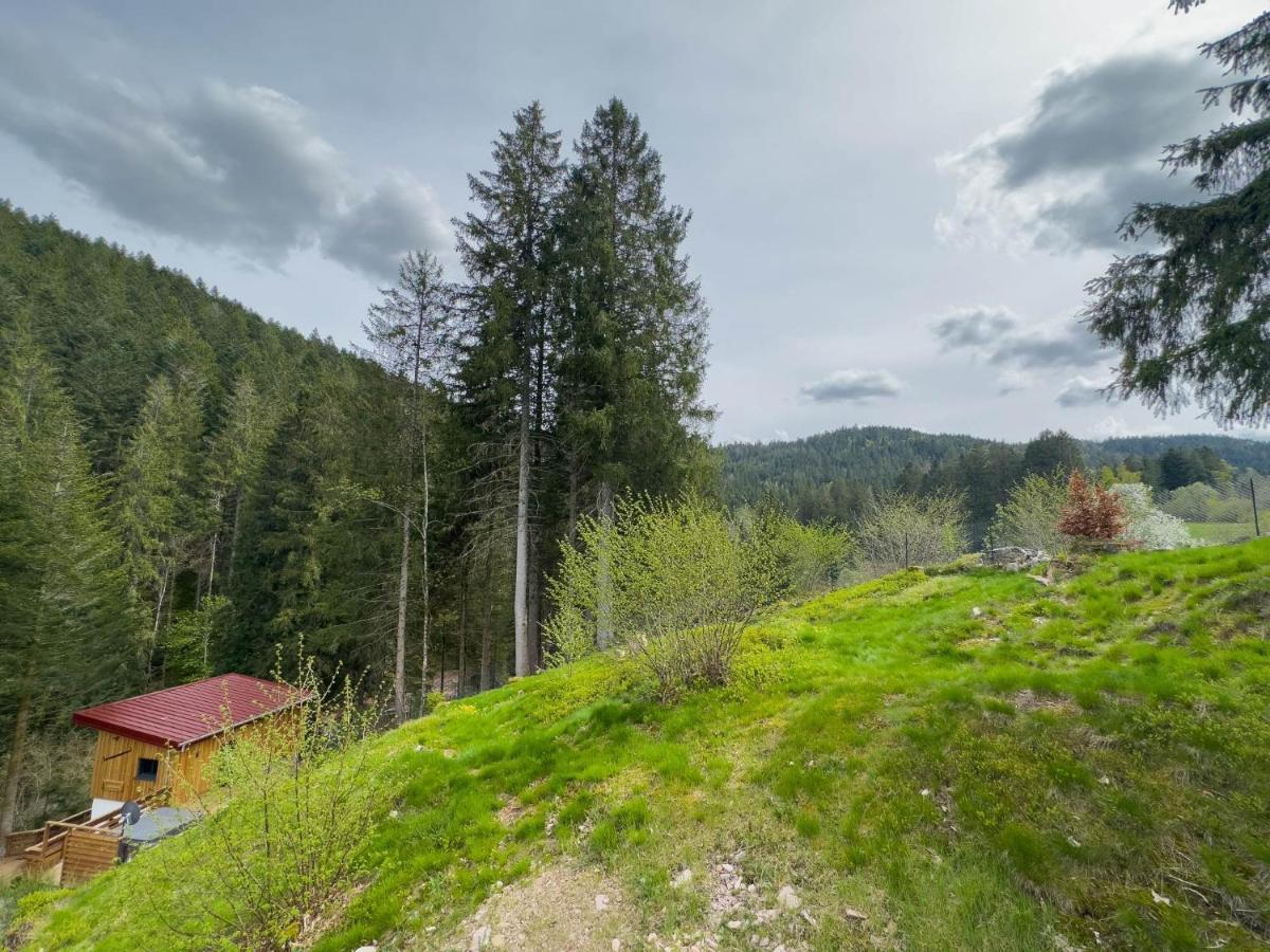 Le Refuge Perche Du Saut De La Bourrique Spa, Terrain Cloture Gérardmer Exteriér fotografie