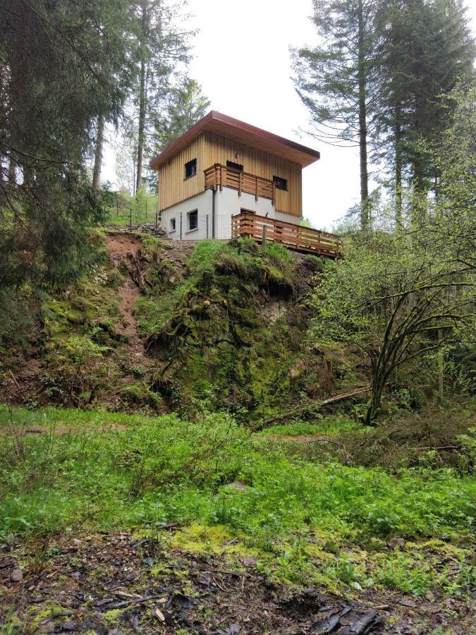 Le Refuge Perche Du Saut De La Bourrique Spa, Terrain Cloture Gérardmer Exteriér fotografie