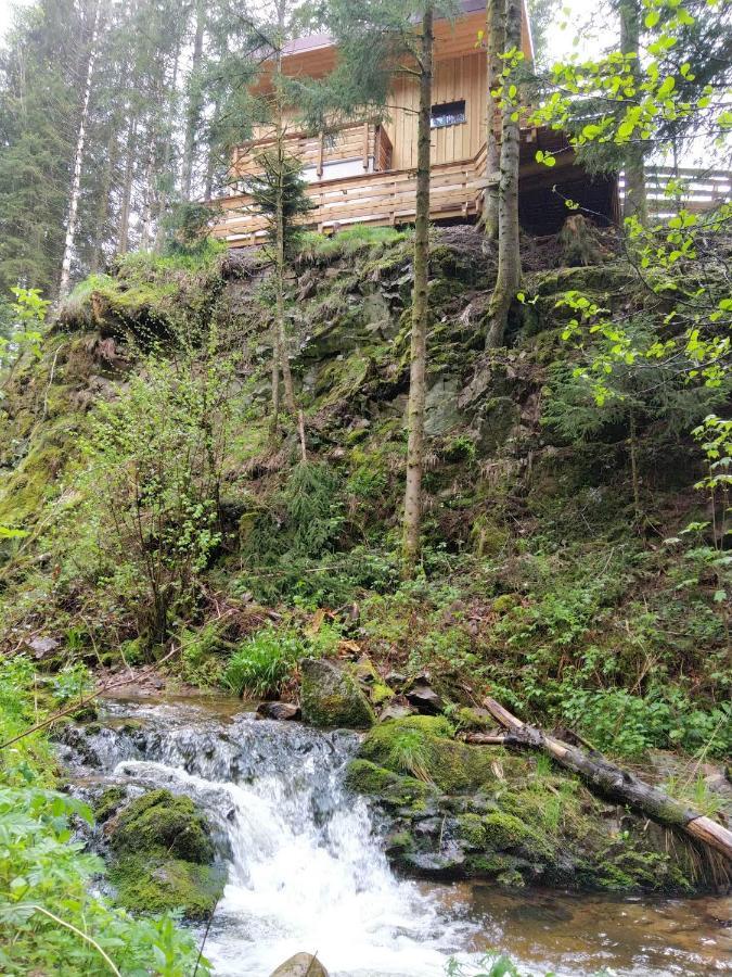 Le Refuge Perche Du Saut De La Bourrique Spa, Terrain Cloture Gérardmer Exteriér fotografie