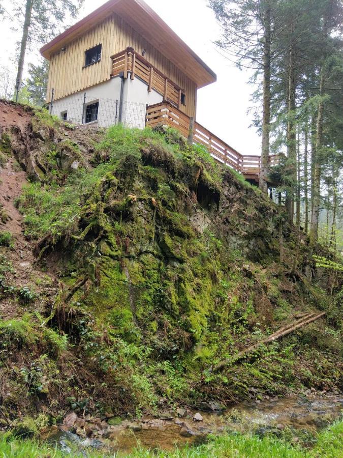 Le Refuge Perche Du Saut De La Bourrique Spa, Terrain Cloture Gérardmer Exteriér fotografie
