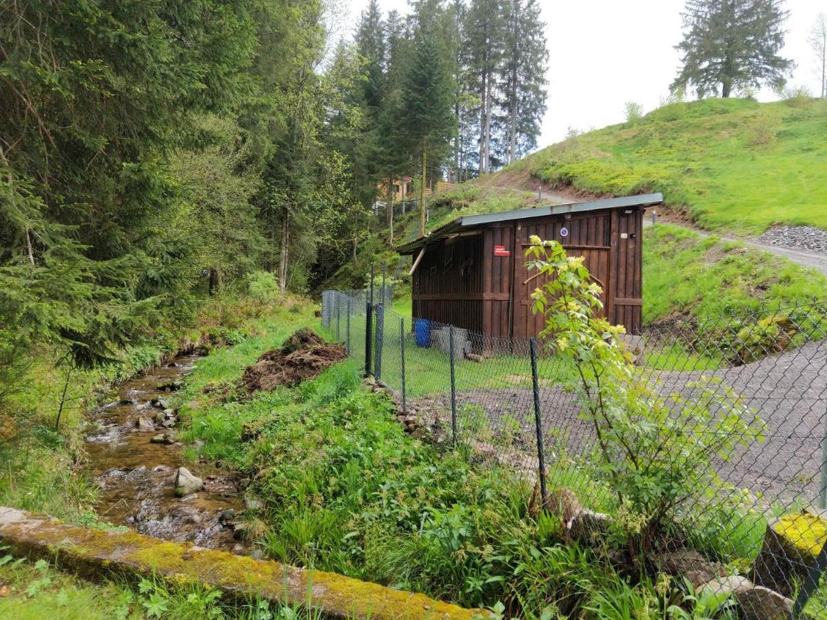 Le Refuge Perche Du Saut De La Bourrique Spa, Terrain Cloture Gérardmer Exteriér fotografie