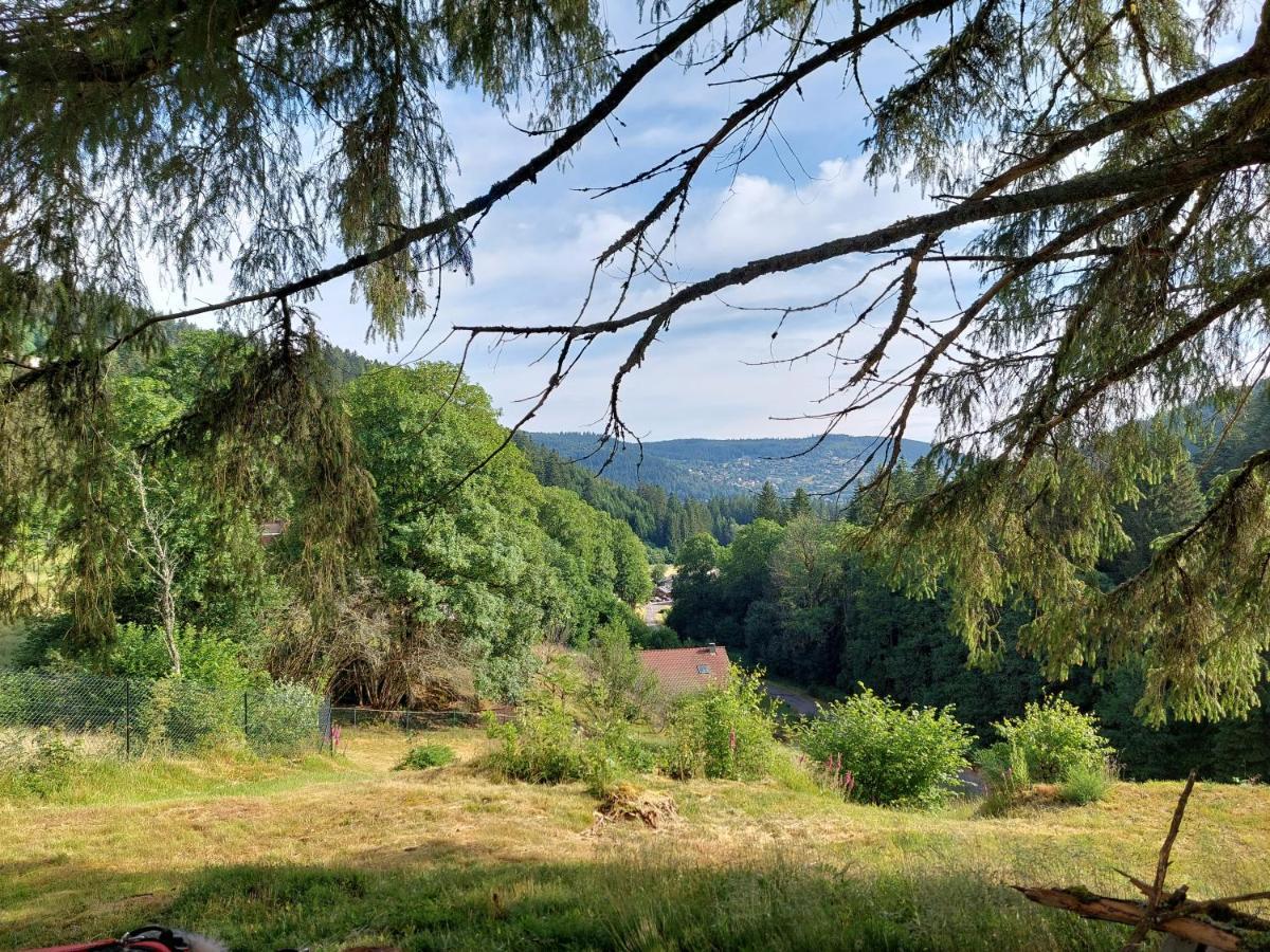 Le Refuge Perche Du Saut De La Bourrique Spa, Terrain Cloture Gérardmer Exteriér fotografie
