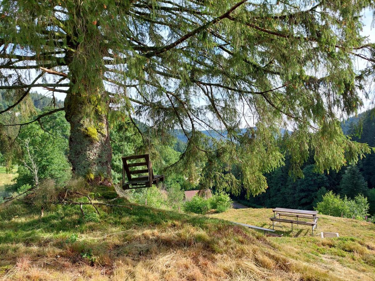 Le Refuge Perche Du Saut De La Bourrique Spa, Terrain Cloture Gérardmer Exteriér fotografie