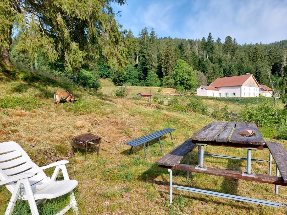 Le Refuge Perche Du Saut De La Bourrique Spa, Terrain Cloture Gérardmer Exteriér fotografie